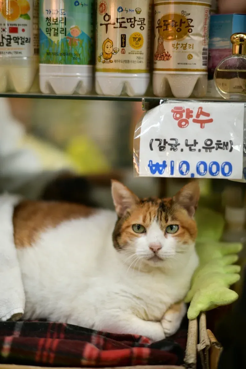 특산물