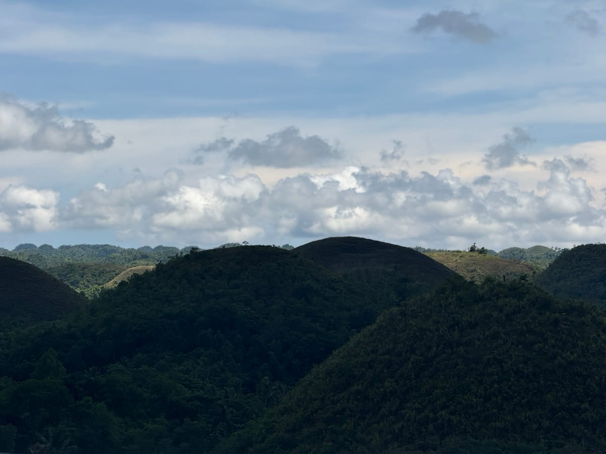 초콜릿 힐 클로즈업