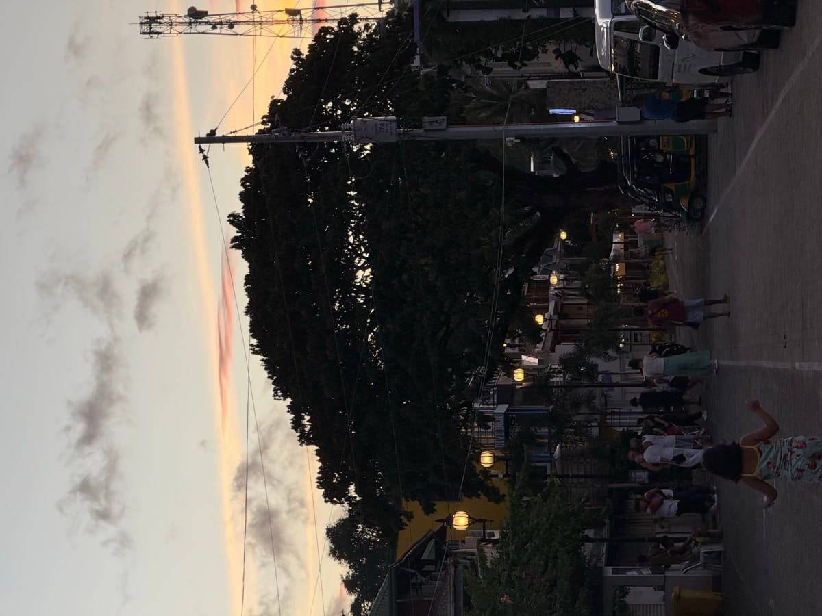 리조트 앞 거리