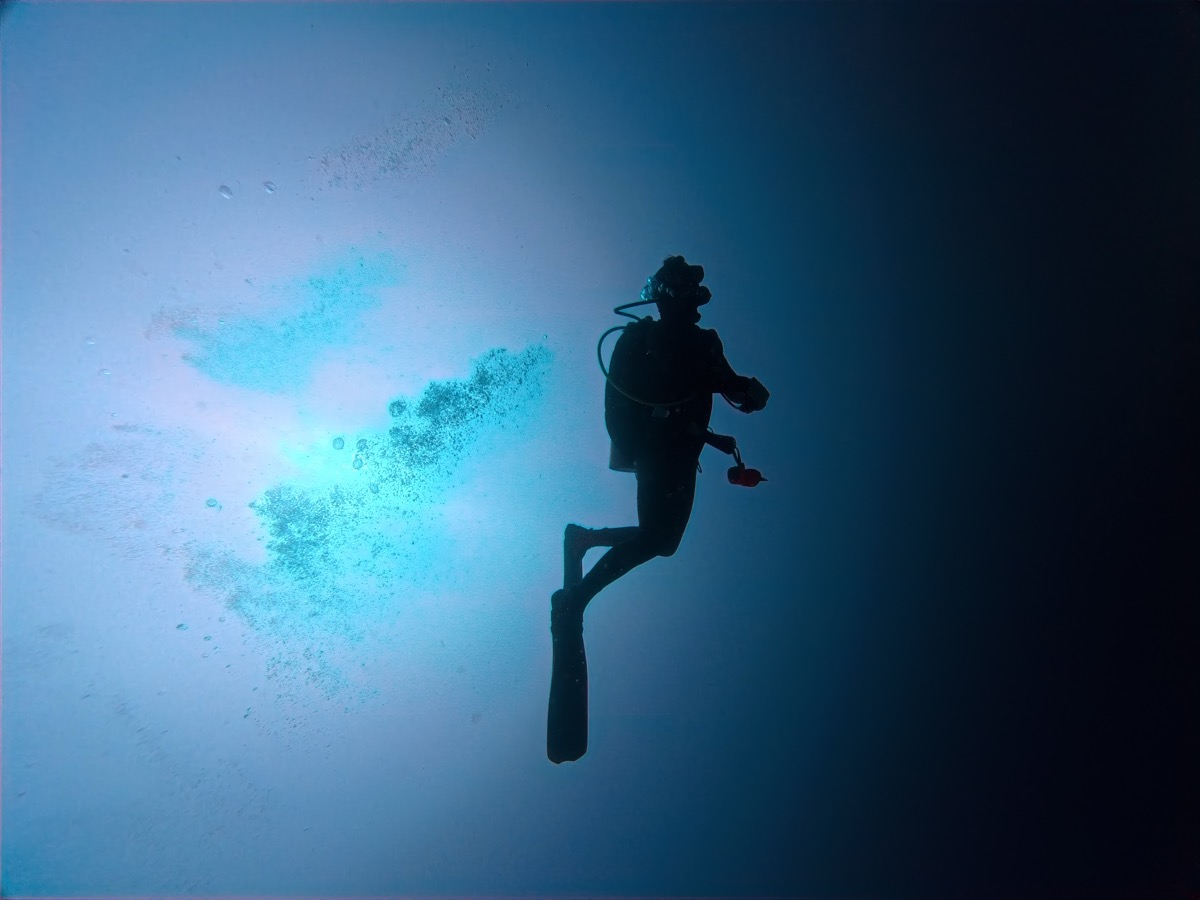 다이버 실루엣(나)