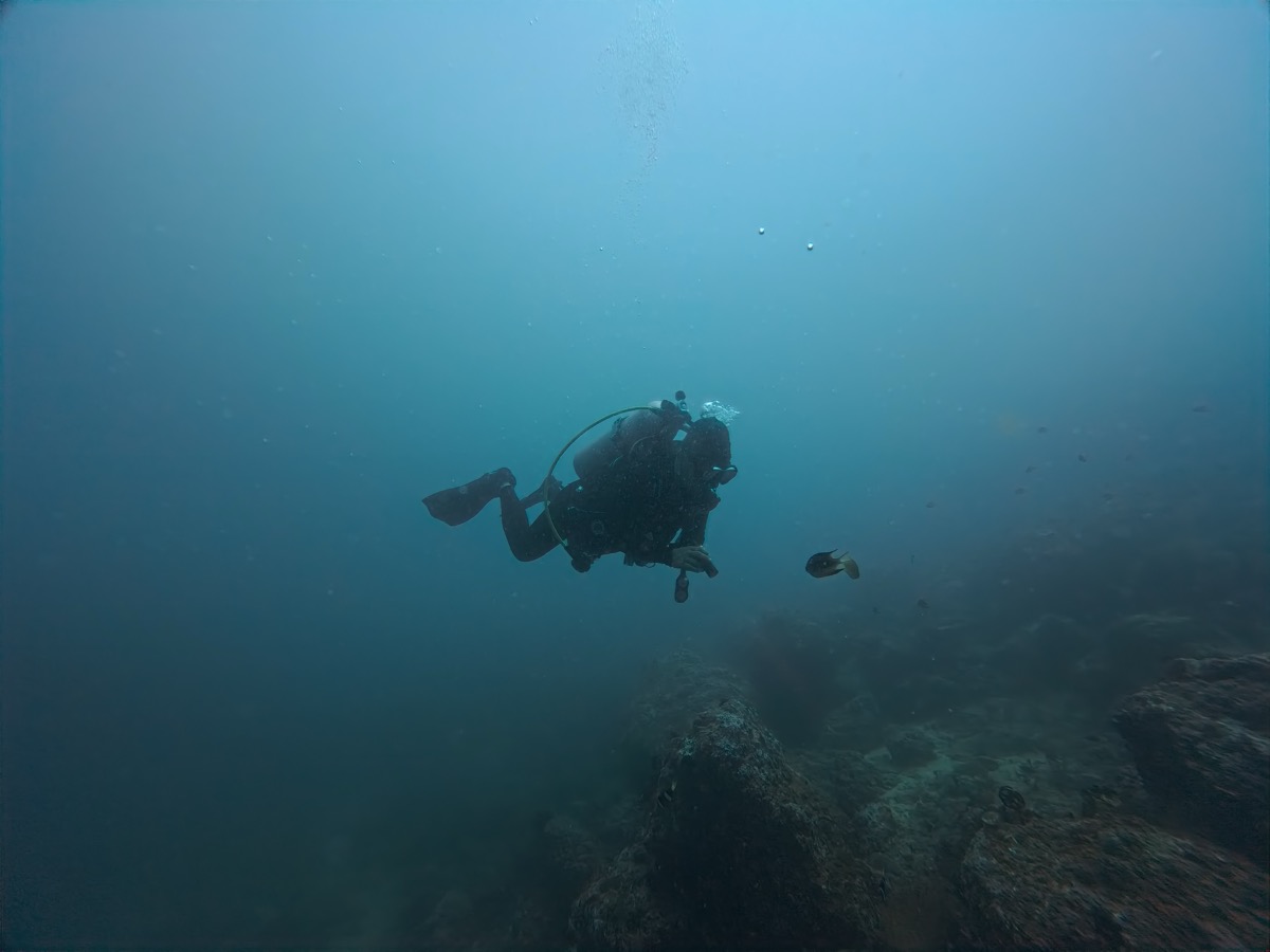 산호 위 다이버